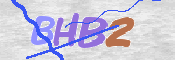 Image Anti-spam