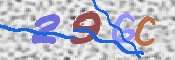 Image Anti-spam